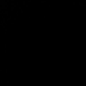 Meet your Posher, Lilina